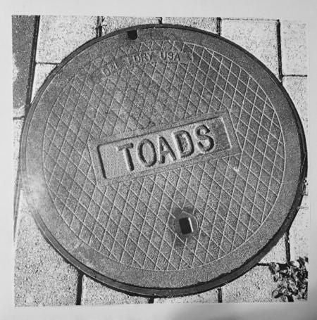 TOADS - s/t LP