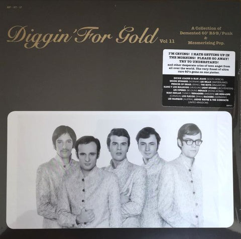 v/a- DIGGIN FOR GOLD Vol. 11 LP