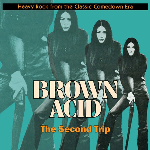 v/a- BROWN ACID: THE SECOND TRIP LP