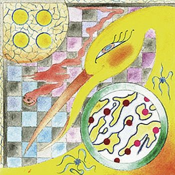 WAND - Perfume 12"